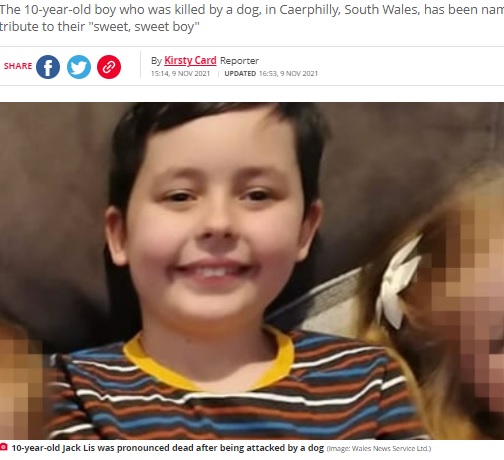 ピットブルに襲われて亡くなった10歳男児（画像は『The Daily Star　2021年11月9日付「Boy, 10, mauled to death by ‘crazed’ dog pictured for first time as mum pays tribute」（Image: Wales News Service Ltd.）』のスクリーンショット）