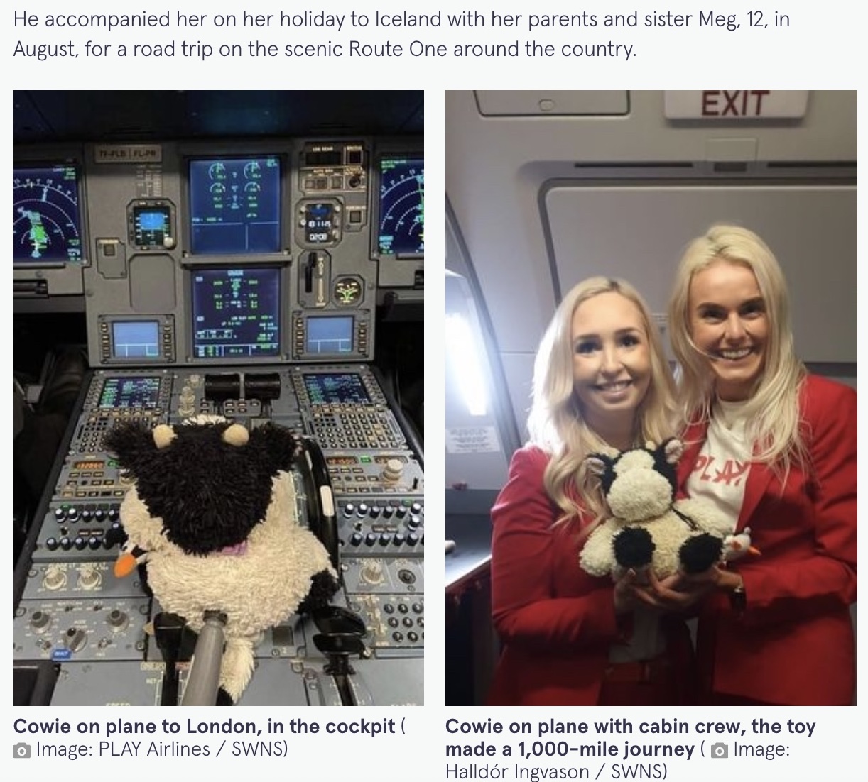 飛行機に乗ったカーウィー（画像は『The Mirror　2021年11月15日付「Girl, 10, reunited with teddy lost 2,300 miles away at remote Iceland campsite」（Image: Halldór Ingvason / SWNS）（Image: Chrissie Sains / SWNS）』のスクリーンショット）