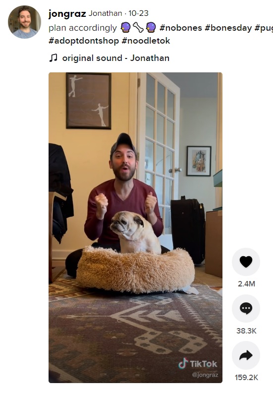 朝になると愛犬とともに一日の占いを行う飼い主（画像は『Jonathan　2021年10月23日付TikTok「plan accordingly」』のスクリーンショット）