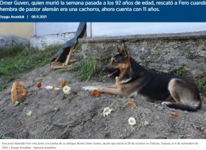 オマーさんの墓の上に横たわるフェロ（画像は『Anadolu Agency　2021年11月6日付「Esta es la perra que visita todos los días la tumba de su recién fallecido dueño en Turquía」（Duygu Avunduk - Agencia Anadolu）』のスクリーンショット）