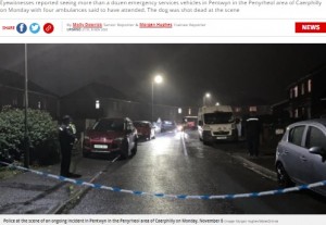 事故が起きた閑静な住宅街（画像は『WalesOnline　2021年11月8日付「Live updates as police confirm 10-year-old boy killed by dog in Penyrheol, Caerphilly」（Image: Morgan Hughes/WalesOnline）』のスクリーンショット）