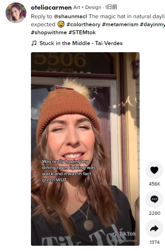 太陽光の下では茶色のニット帽に見える（画像は『Art + Design　2021年11月19日付TikTok「Reply to ＠shaunmacl」』のスクリーンショット）
