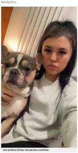 おもちゃを飲み込んでしまったブルーノとダニーさん（画像は『Metro　2021年12月7日付「Naughty French Bulldog has worst birthday ever after swallowing toy dinosaur whole」（Picture: Kennedy News and Media）』のスクリーンショット）