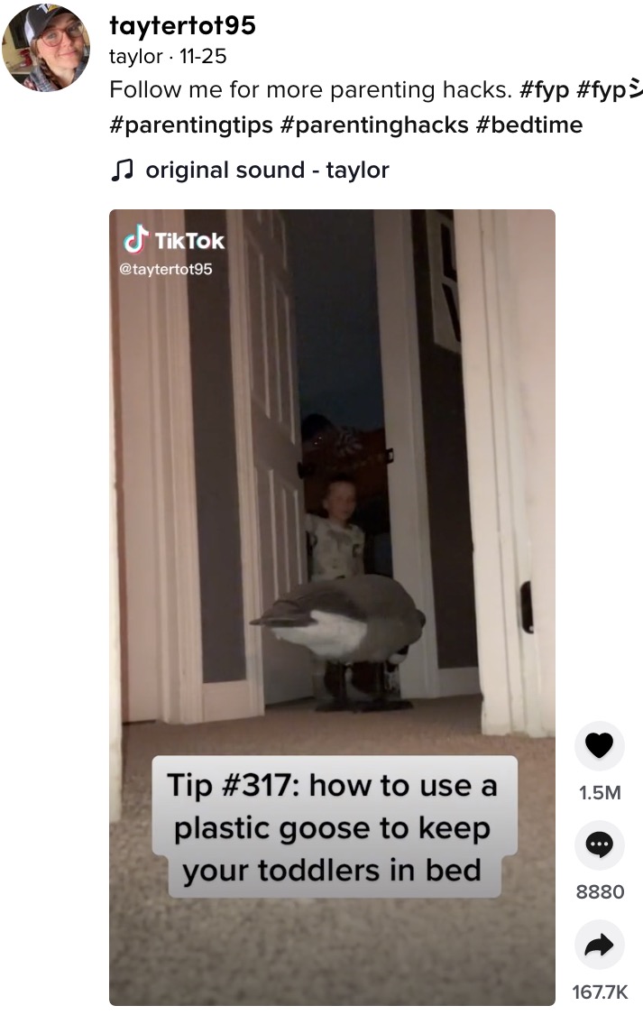 母親の仕掛けにギョッとする男児（画像は『taylor　2021年11月25日付TikTok「Follow me for more parenting hacks.」』のスクリーンショット）