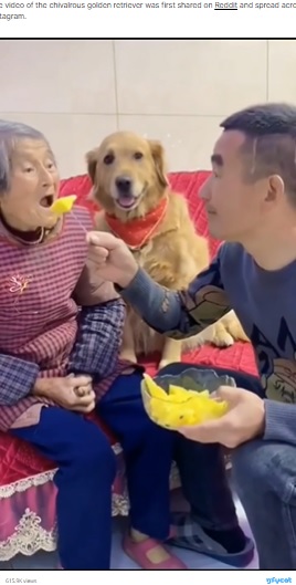 おばあちゃんにフルーツを差し出す孫（画像は『Press Interactive News　2021年12月31日付「Not having it: Adorable golden retriever ‘defends’ grandma from fruit-stealing man」』のスクリーンショット）