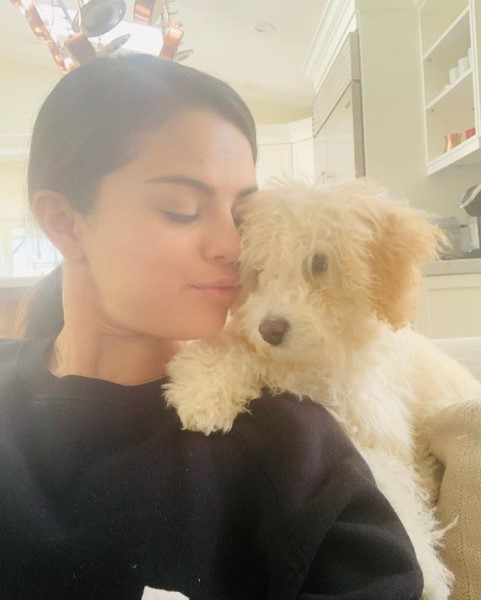 セレーナの背後に立っているような姿勢のウィニー（画像は『Selena Gomez　2021年12月29日付Instagram「baby Winnie」』のスクリーンショット）