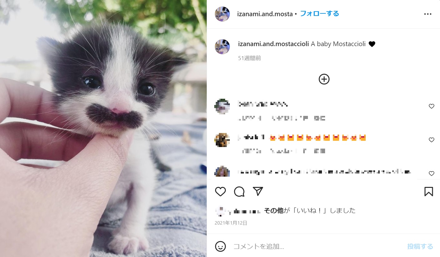 生後間もない頃からすでに立派なヒゲが（画像は『Mostaccioli Izanami　2021年1月12日付Instagram「A baby Mostaccioli」』のスクリーンショット）