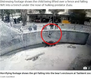 頭から落下する女児（画像は『The Sun　2022年1月29日付「JAWS OF DEATH Mum ‘tries to kill’ toddler, 3, by ‘throwing’ her 16ft into bear enclosure before she’s saved by zookeepers」（Credit: East2West）』のスクリーンショット）