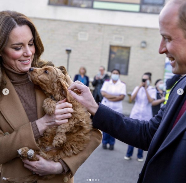 コッカプーの“アルフィー”を抱くキャサリン妃（画像は『Duke and Duchess of Cambridge　2022年1月20日付Instagram「At Clitheroe Community Hospital in Lancashire today to meet with staff who work both in the hospital and across this rural community and hear about their experience of responding to COVID-19.」』のスクリーンショット）