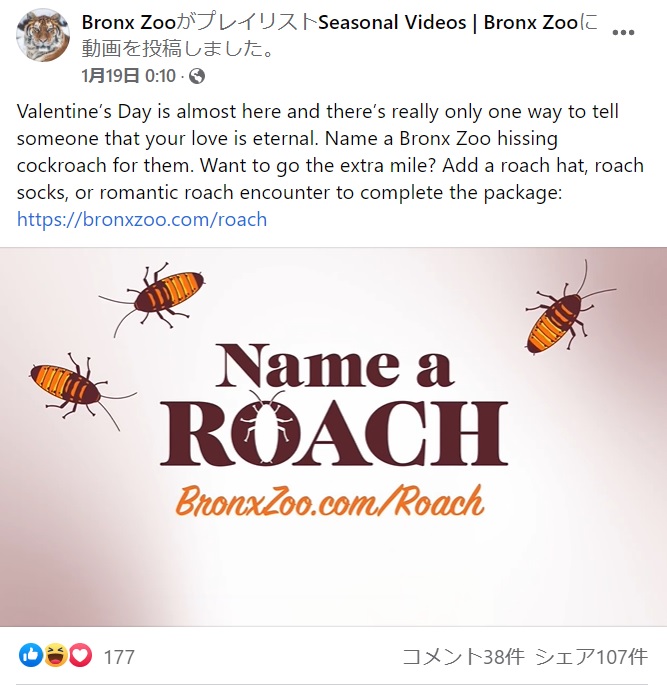 毎年人気のバレンタイン企画が今年も始まる（画像は『Bronx Zoo　2022年1月19日付Facebook「Valentine’s Day is almost here and there’s really only one way to tell someone that your love is eternal.」』のスクリーンショット）