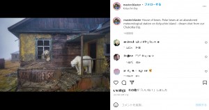 人のいない廃墟で過ごす好奇心旺盛なシロクマ（画像は『Dmitry Kokh　2021年10月17日付Instagram「House of bears.」』のスクリーンショット）