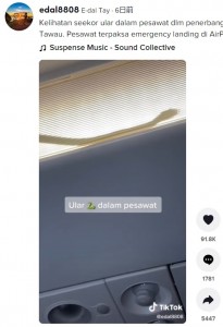 機内の照明器具の中に忍び込んだヘビ（画像は『E-dal Tay　2022年2月10日付TikTok「Kelihatan seekor ular dalam pesawat dlm penerbangan dari KL ke Tawau.」』のスクリーンショット）