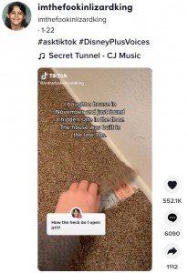 掃除機をかけていた際にカーペットの異変に気づく（画像は『imthefookinlizardking　2022年1月22日付TikTok「＃asktiktok ＃DisneyPlusVoices」』のスクリーンショット）