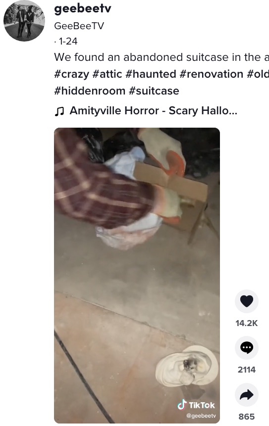 慌てて箱の中に戻す男性（画像は『GeeBeeTV　2022年1月24日付TikTok「We found an abandoned suitcase in the attic…」』のスクリーンショット）