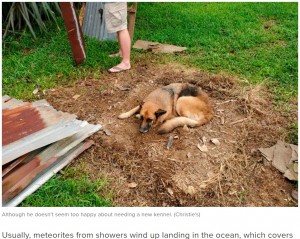 犬小屋は運び出されてしまったが、科学文献に永遠に記録される代物に（画像は『nine.com.au　2022年2月16日付「Dog kennel hit by meteor could fetch up to ＄420,000 at auction」（Christie’s）』のスクリーンショット）