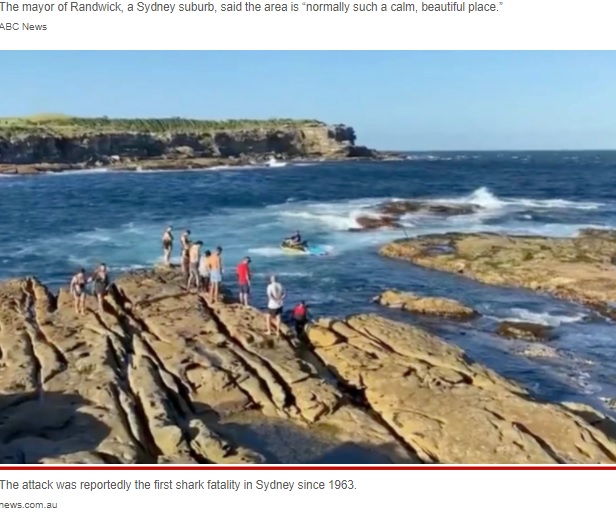 現場で捜索にあたるジェットスキー（画像は『New York Post　2022年2月16日付「Swimmer killed by shark in horrifying attack in front of beachgoers: video」（news.com.au）』のスクリーンショット）