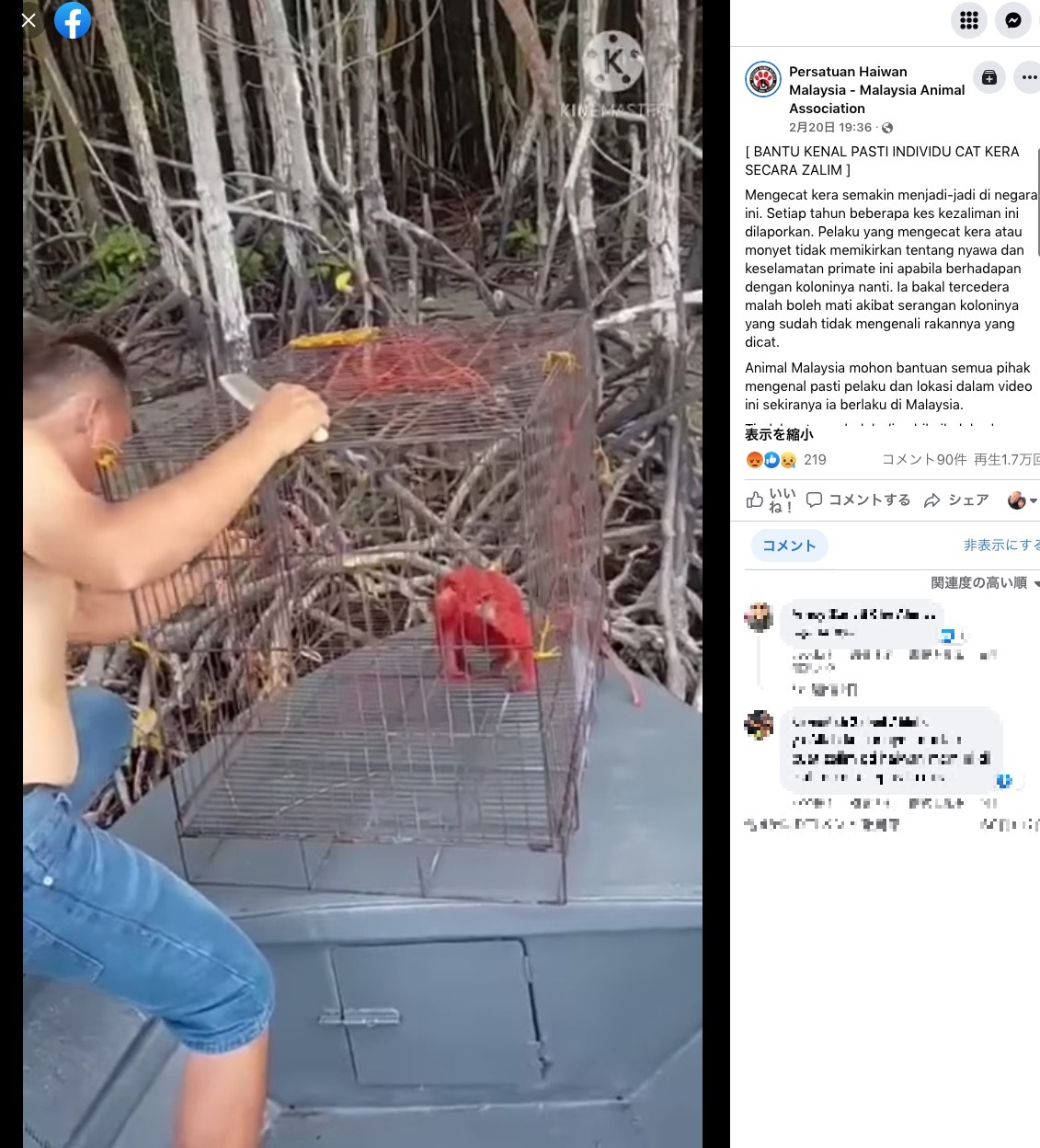 赤く塗られた猿の動画に非難の声が殺到（画像は『Persatuan Haiwan Malaysia - Malaysia Animal Association　2022年2月20日付「［BANTU KENAL PASTI INDIVIDU CAT KERA SECARA ZALIM］」』のスクリーンショット）