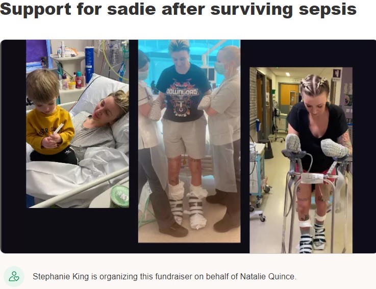 GoFundMeで寄付を呼びかけ（画像は『GoFundMe　2022年2月3日付「Support for sadie after surviving sepsis」』のスクリーンショット）