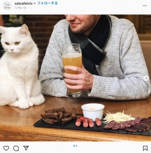 来店客の相手をする猫（画像は『Cat Cafe Lviv　2019年1月12日付「Для любителів і цінителів пінного ми створили пивну дошку」』のスクリーンショット）