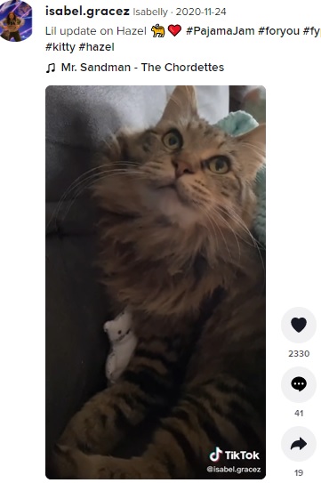 しばらくの間、布の子猫を持ち歩いていたヘイゼル（画像は『Isabelly  2020年11月24日付TikTok「Lil update on Hazel」』のスクリーンショット）