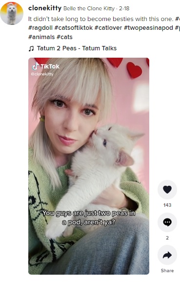 ベルが大好きというケリーさん（画像は『Belle the Clone Kitty　2022年2月18日付TikTok「It didn’t take long to become besties with this one.」』のスクリーンショット）