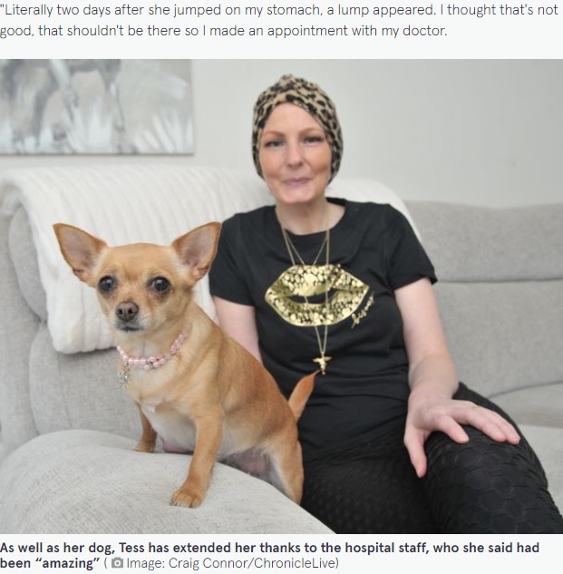 テスさんが命の恩人と呼ぶローラ（画像は『The Mirror　2022年3月1日付「Woman credits chihuahua for saving her life after the dog jumped on her stomach」（Image: Craig Connor/ChronicleLive）』のスクリーンショット）