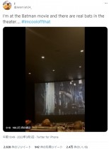 【海外発！Breaking News】バットマン上映中に映画館に本物のコウモリが迷い込む　観客ら「4D映画かな？」（米）