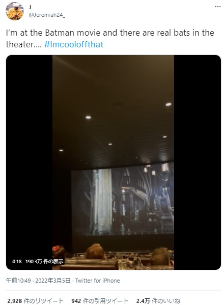 コウモリが迷い込み上映が中断したシアター（画像は『J　2022年3月5日付Twitter「I’m at the Batman movie and there are real bats in the theater」』のスクリーンショット）