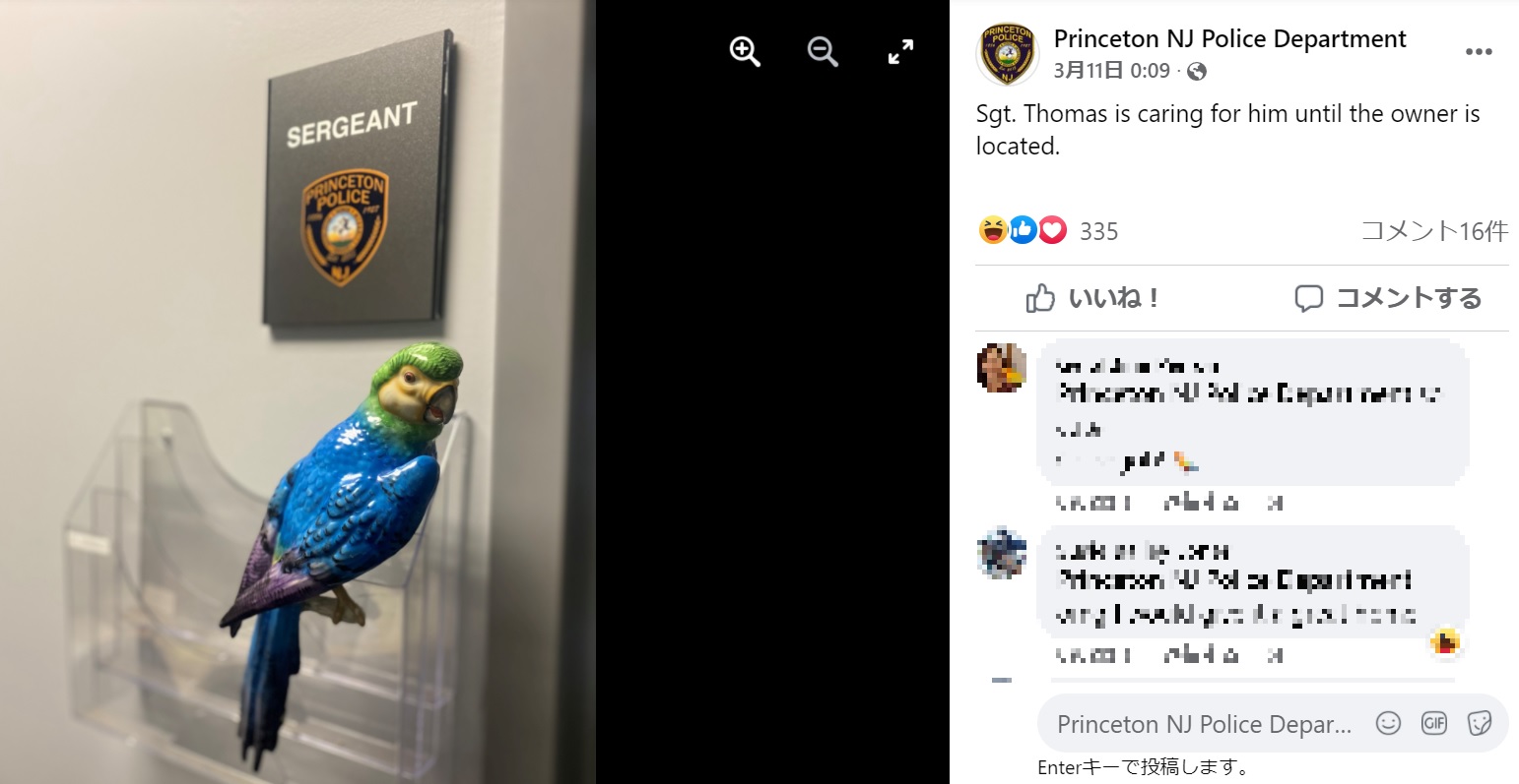 持ち主が現れるのを待っているセラミック製のオウム（画像は『Princeton NJ Police Department　2022年3月11日付Facebook「Sgt. Thomas is caring for him until the owner is located.」』のスクリーンショット）