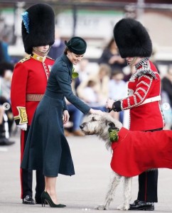 連隊のマスコット犬を撫でるキャサリン妃（画像は『The Royal Family　2022年3月17日付Instagram「Since 1901 the presentation of Shamrock to the ＠irishguards on St Patrick’s Day has been traditionally made a member of The Royal Family, starting with Queen Alexandra.」』のスクリーンショット）