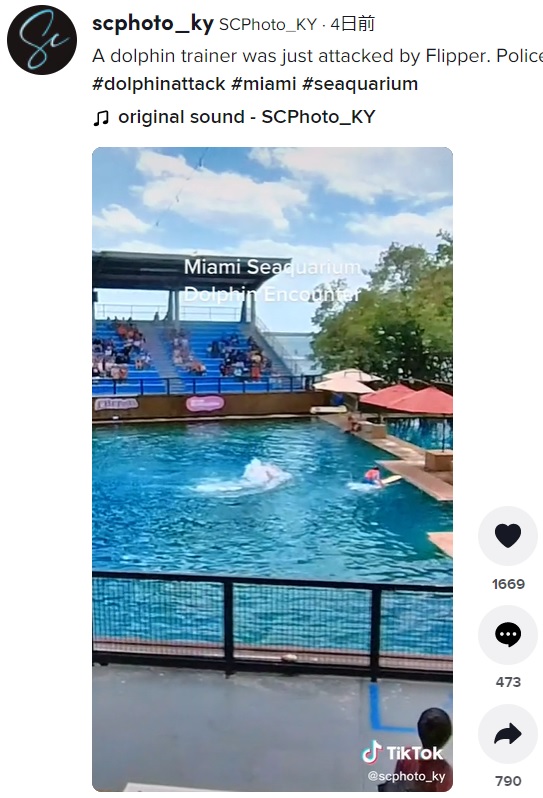 観客の前でイルカに襲われるトレーナー（画像は『SCPhoto_KY　2022年4月9日付TikTok「A dolphin trainer was just attacked by Flipper.」』のスクリーンショット）