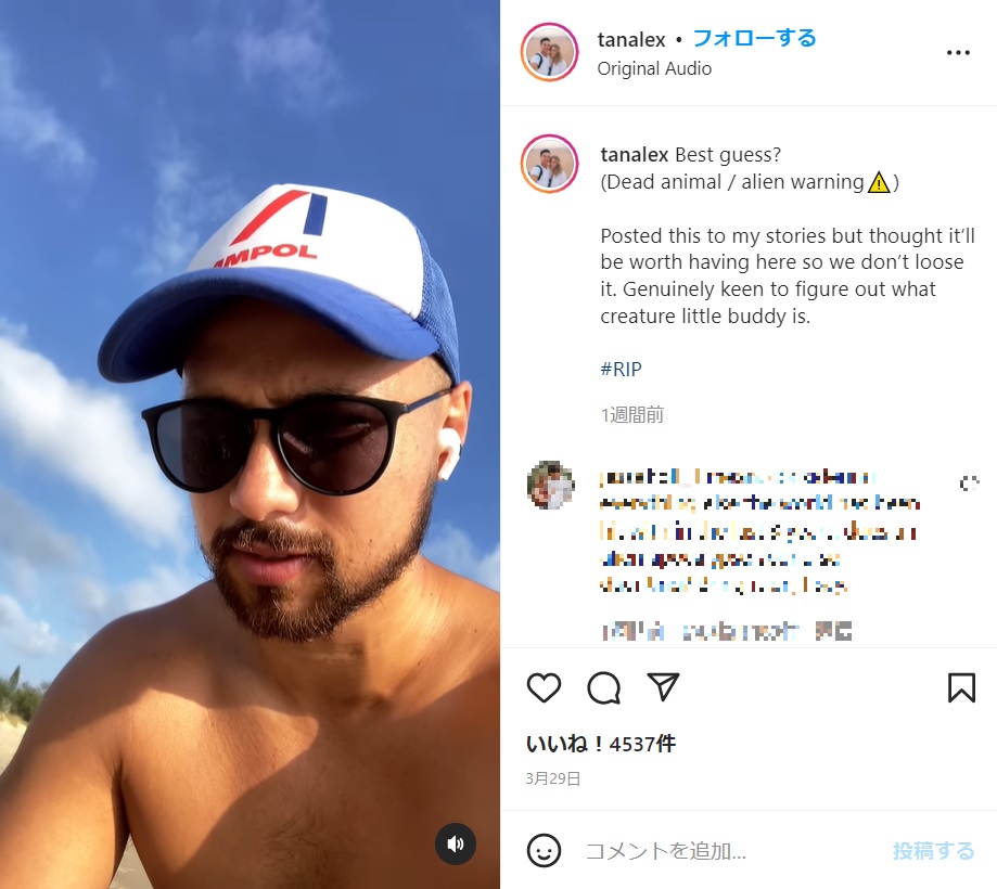 「奇妙な生物に遭遇した」と語る発見者の男性（画像は『ALEX TAN　2022年3月29日付Instagram「Best guess?」』のスクリーンショット）