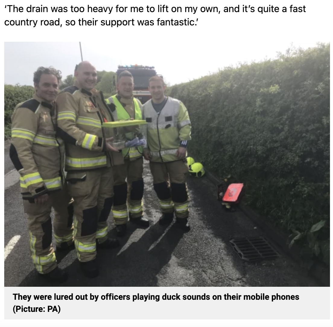 子ガモを救った消防隊員たち（画像は『Metro　2022年5月7日付「Ducklings rescued from storm drain after officers lure them out with duck noises」（Picture: PA）』のスクリーンショット）