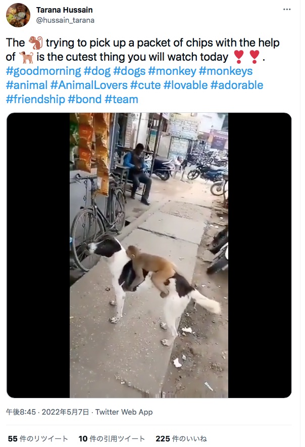 犬猿の仲…ではなくべったりな2匹（画像は『Tarana Hussain　2022年5月7日付Twitter「The monkey trying to pick up a packet of chips with the help of dog is the cutest thing you will watch today」』のスクリーンショット）