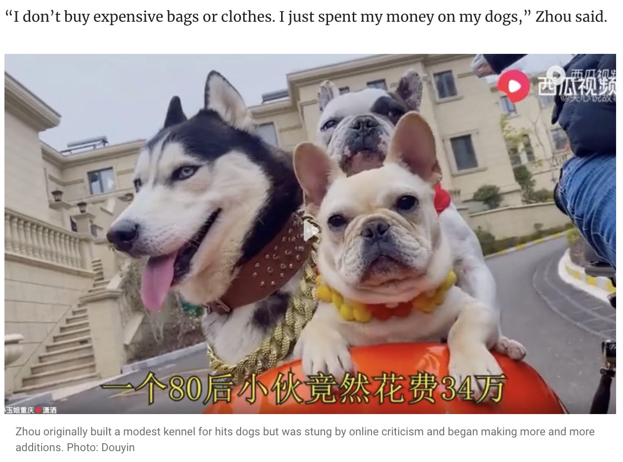 シュウさんが用意した遊具で遊ぶ犬（画像は『South China Morning Post　2022年5月21日付「Man in China spends small fortune on mini dog mansion with a disco, pool and roller coaster for his pets」（Photo: Douyin）』のスクリーンショット）