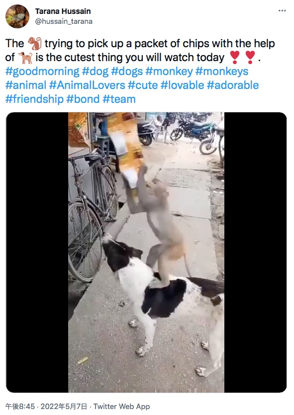 犬の背に乗ってお菓子を盗もうとする猿（画像は『Tarana Hussain　2022年5月7日付Twitter「The monkey trying to pick up a packet of chips with the help of dog is the cutest thing you will watch today」』のスクリーンショット）