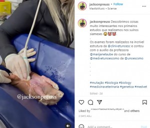 超音波検査を行う医師（画像は『Jackson Preuss　2022年5月11日付Instagram「Descobrimos coisas muito interessantes nos primeiros estudos que realizamos nos suínos siameses」』のスクリーンショット）