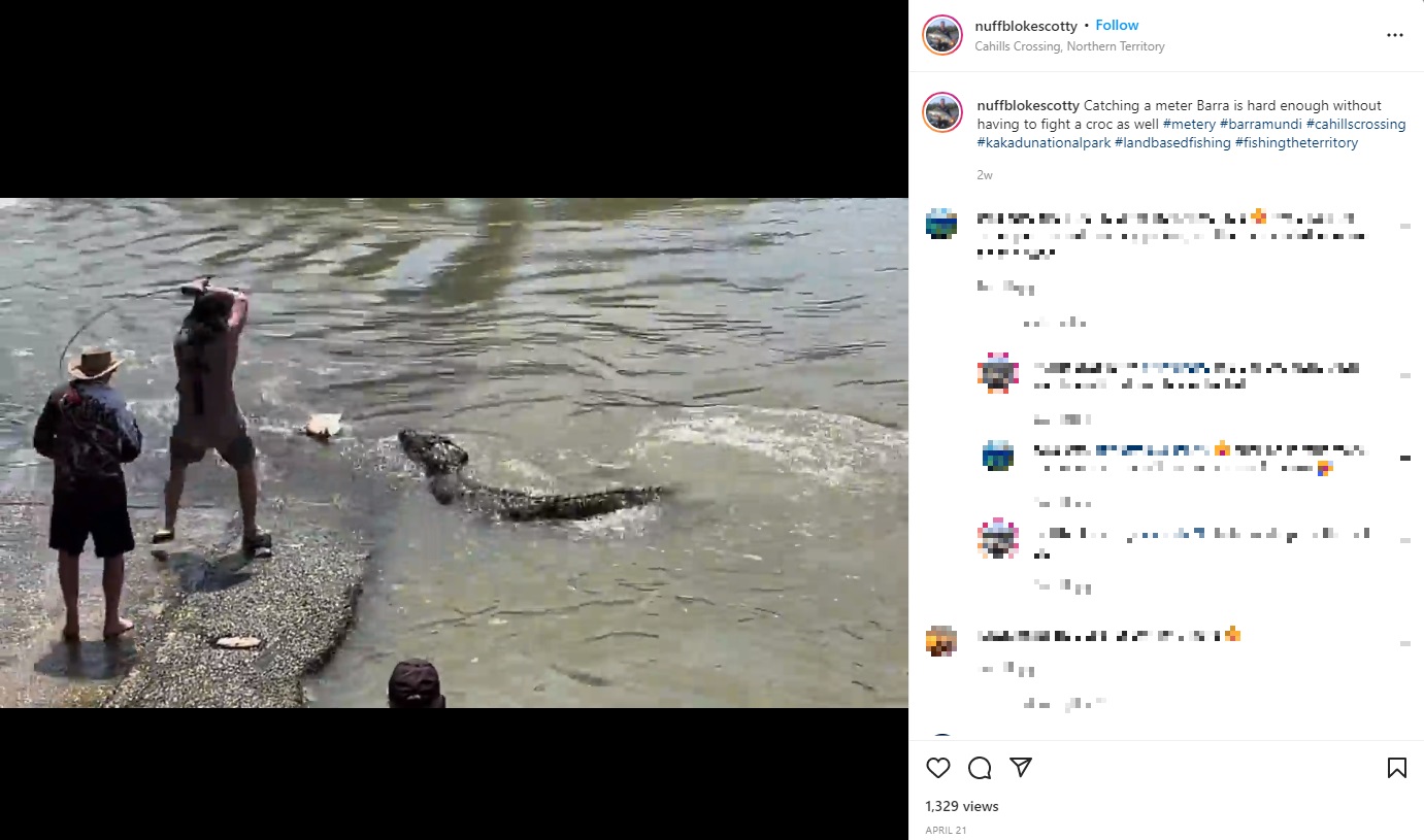 釣り上げた魚を狙うクロコダイル（画像は『Scott Roscarel　2022年4月21日付Instagram「Catching a meter Barra is hard enough without having to fight a croc as well」』のスクリーンショット）