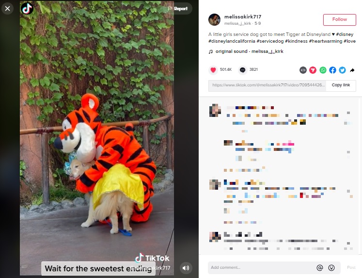 ティガーにハグしてもらう犬（画像は『melissa_j_kirk　2022年5月9日付TikTok「A little girls service dog got to meet Tigger at Disneyland」』のスクリーンショット）