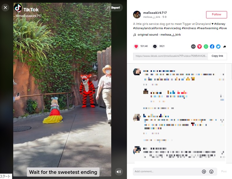 ティガーが現れるのを行儀よく待つグロリア（画像は『melissa_j_kirk　2022年5月9日付TikTok「A little girls service dog got to meet Tigger at Disneyland」』のスクリーンショット）