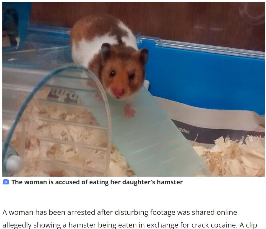 女はドラッグの代わりにハムスターを食べたか（画像は『YorkshireLive　2022年6月24日付「Mum filmed ‘eating and killing daughter’s hamster in exchange for drugs’」』のスクリーンショット）