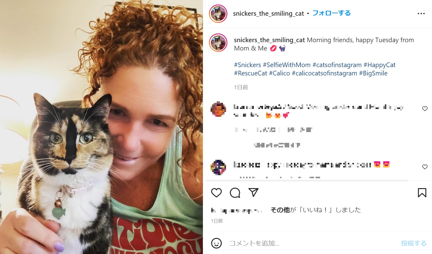 微笑んでいるように見えるスニッカーズ（画像は『Snickers　2022年6月21日付Instagram「Morning friends, happy Tuesday from Mom ＆ Me」』のスクリーンショット）