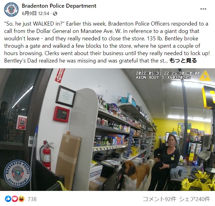 レジにいる店員のそばで佇むベントレー（画像は『Bradenton Police Department　2022年6月9日付Facebook「‘So, he just WALKED in?’ Earlier this week, Bradenton Police Officers responded to a call from the Dollar General on Manatee Ave.」』のスクリーンショット）