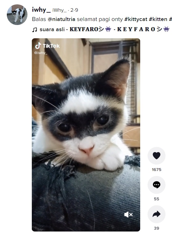 「怪傑ゾロ」にそっくり？（画像は『iwhy_　2022年2月9日付TikTok「Balas ＠niatultria selamat pagi onty」』のスクリーンショット）