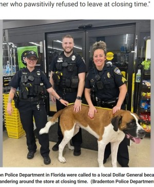 【海外発！Breaking News】1頭だけで来店した大型犬、閉店時間になっても居座り警察が呼ばれる珍事に（米）＜動画あり＞