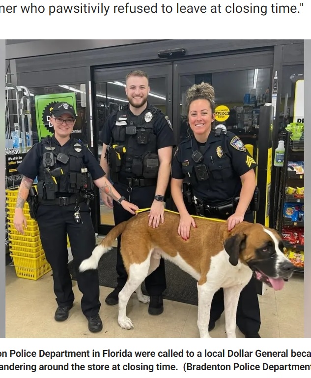 セント・バーナードと記念撮影する警察官（画像は『Fox News　2022年6月15日付「Florida police remove 135-pound St. Bernard from Dollar General store」（Bradenton Police Department）』のスクリーンショット）