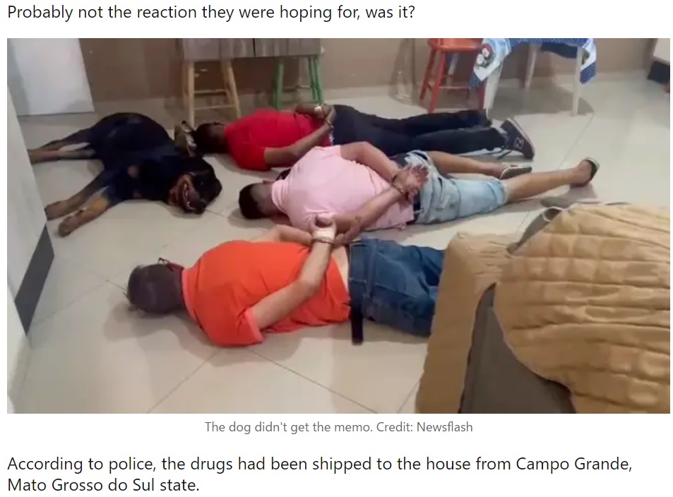 飼い主らの横で楽しそうに寝転がる犬（画像は『LADbible　2022年7月29日付「Guard Dog Completely Fails At Job By Lying Down Next To Drug Gang During Raid」（Credit: Newsflash）』のスクリーンショット）