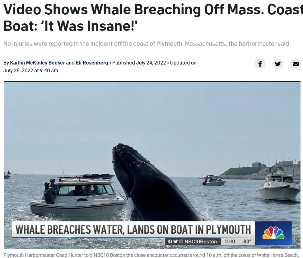 クジラがボートに乗り上げる瞬間（画像は『NBC Boston　2022年7月24日付「Video Shows Whale Breaching Off Mass. Coast, Landing on Boat: ‘It Was Insane!’」』のスクリーンショット）