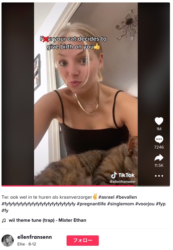 飼い主の女性の膝の上で猫が出産（画像は『Ellie　2022年8月12日付TikTok「Tw: ook wel in te huren als kraanverzorger」』のスクリーンショット）