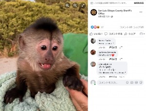 【海外発！Breaking News】動物園から無言の通報に駆けつけた保安官、携帯を見つけたサルの仕業に「責めることはできませんね」（米）＜動画あり＞